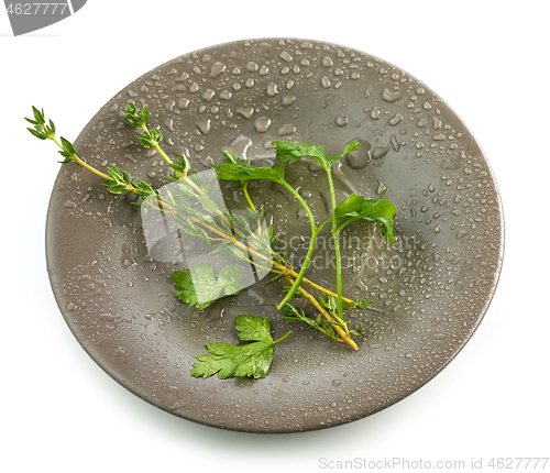 Image of herbs on wet plate