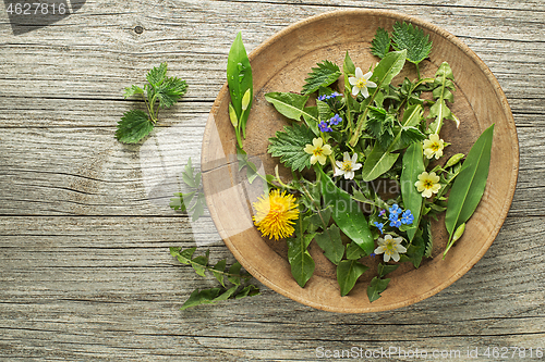 Image of Spring plants food