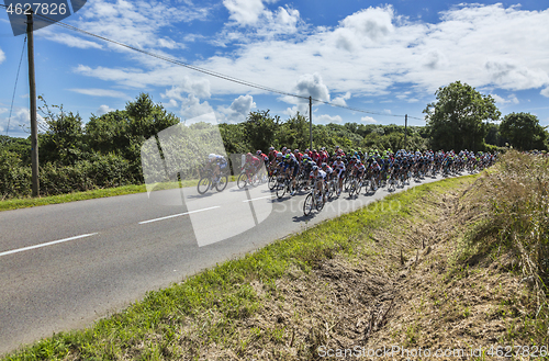 Image of The Peloton - Tour de France 2016