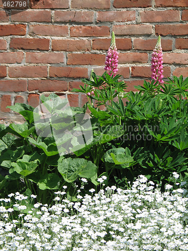 Image of greenery against a brick wall