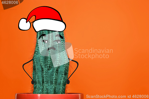 Image of Cactus hipster man with santa hat. Tropical Christmas concept. Minimal fun art