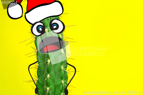 Image of Cactus hipster man with santa hat. Tropical Christmas concept. Minimal fun art