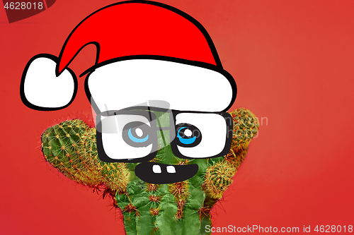 Image of Cactus hipster man with santa hat. Tropical Christmas concept. Minimal fun art