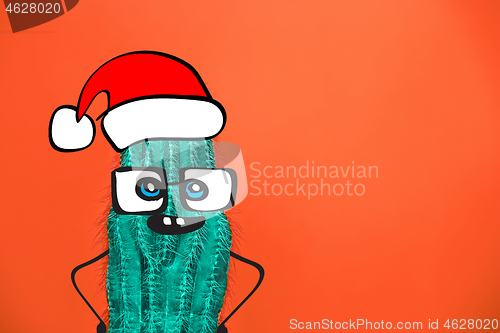 Image of Cactus hipster man with santa hat. Tropical Christmas concept. Minimal fun art