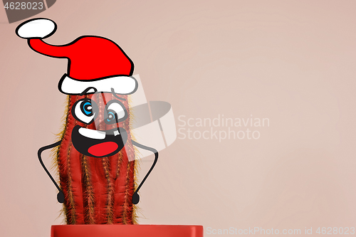 Image of Cactus hipster man with santa hat. Tropical Christmas concept. Minimal fun art