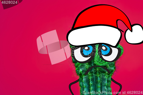 Image of Cactus hipster man with santa hat. Tropical Christmas concept. Minimal fun art