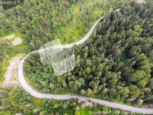 Image of Forest road in summer, up view