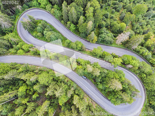 Image of View from above of a forest curvy road