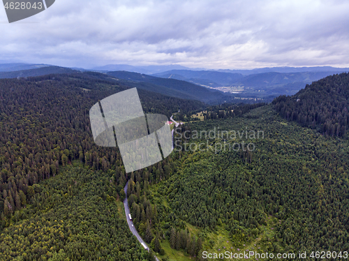 Image of Road through green forest, aerial view