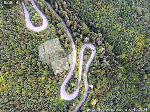 Image of Drone view of a green forest road