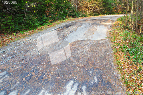 Image of Cracked road in the forest