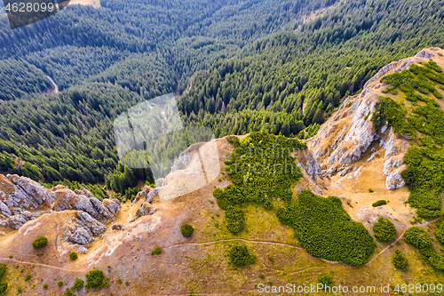 Image of Aerial view of mountain forest