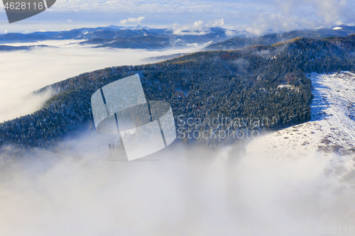 Image of Misty forest hill in the morning