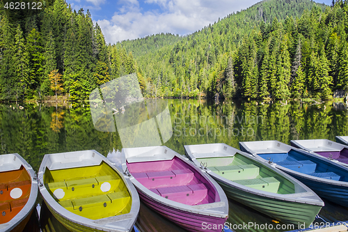 Image of Colorful boats docked on a forest lake