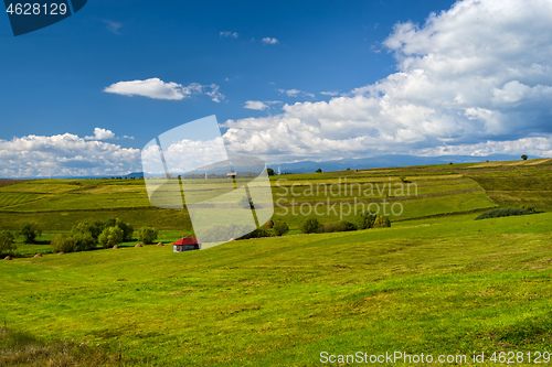 Image of Rural summer landscape