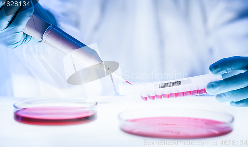 Image of Detail of scientist working in the corona virus vaccine development laboratory research with a highest degree of protection gear.