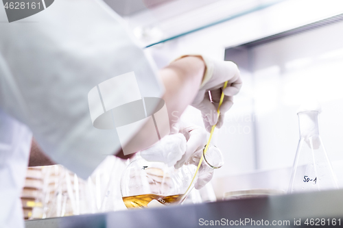 Image of Female scientist working with laminar flow at corona virus vaccine development laboratory research facility.