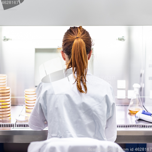 Image of Female scientist working in corona virus vaccine development laboratory research facility.