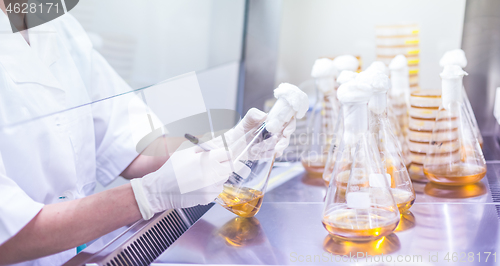 Image of Female scientist working with laminar flow at corona virus vaccine development laboratory research facility.