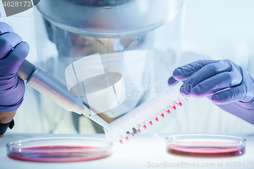 Image of Scientist working in the corona virus vaccine development laboratory research with a highest degree of protection gear.