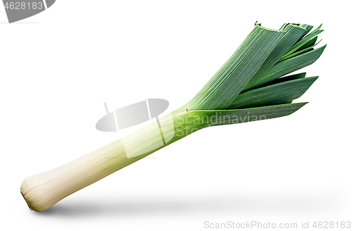 Image of Fresh green leek top view