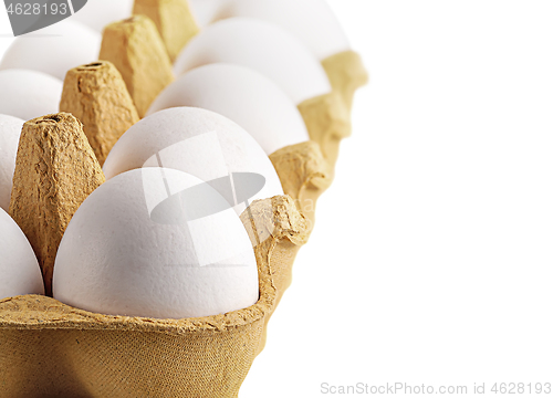 Image of Eggs in a tray perspective