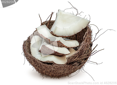 Image of Closeup coconut pulp in shell