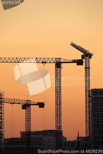 Image of Tall Construction Cranes