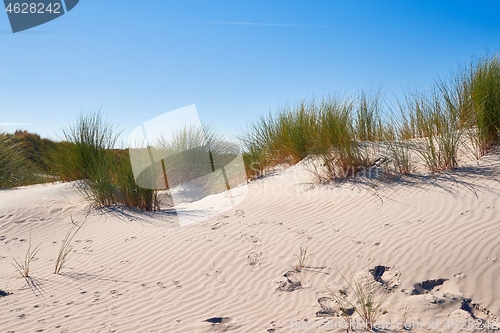 Image of Sand dunes with grass