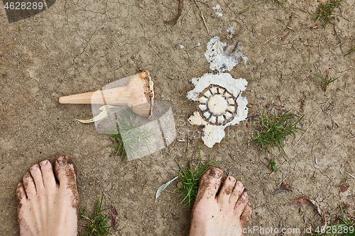 Image of Dropped ice-cream melting on the ground