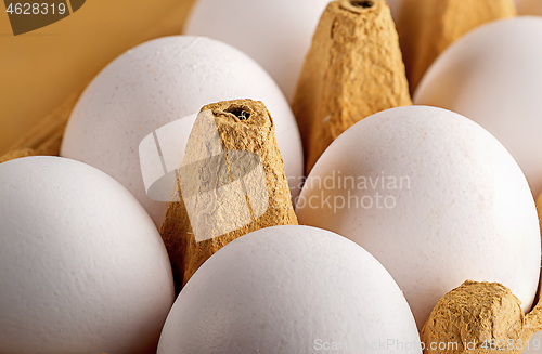 Image of Eggs in a tray closeup