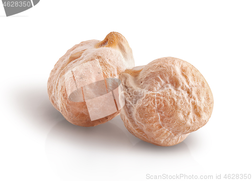 Image of Two whole dry chickpeas closeup