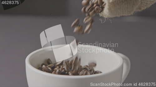 Image of Roasted coffee beans poured from the bag, in a cup around a dark background.