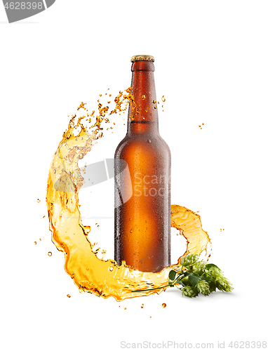 Image of Cold bottle with water drops, spiral splash and branch of hop.