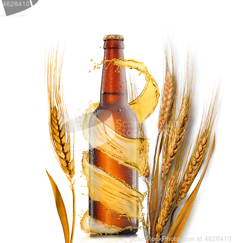 Image of Beer bottle with water drops and wheat ears on a white background.