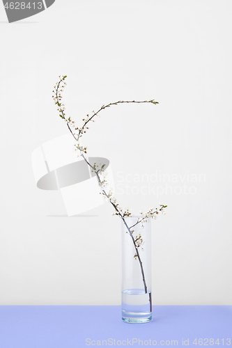 Image of Gongratulation card with cherry twig in glass on a light grey background.