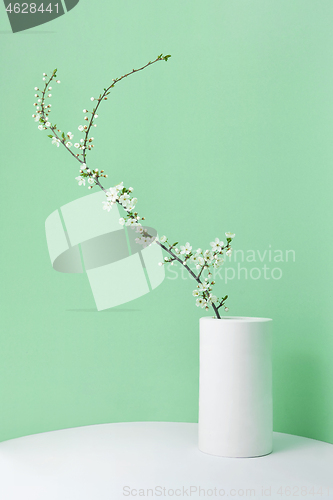 Image of Congratulation card from ceramic vase with blooming cherry twig.