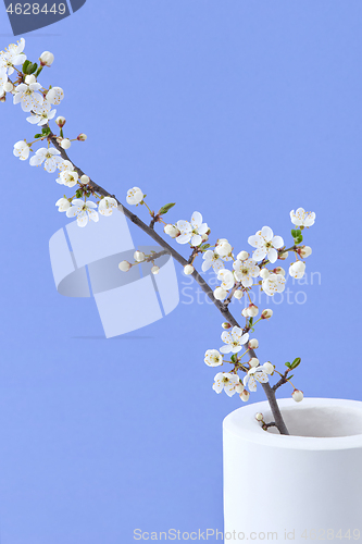 Image of Spring card with close-up ceramic vase and blooming cherry twig.