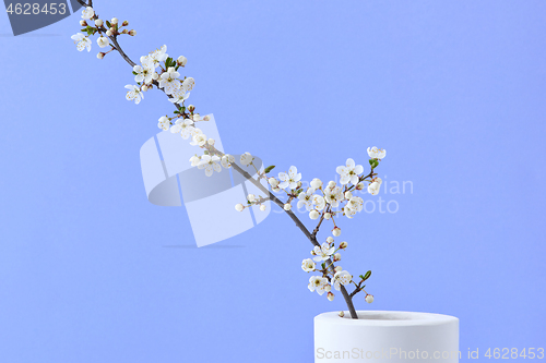 Image of Spring festive card with cherry blooming twig in a ceramic vase.