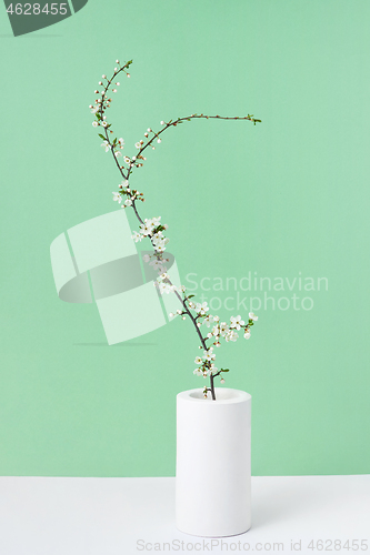 Image of Greeting card from ceramic vase with blooming cherry flowers twig.