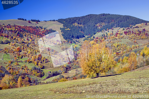 Image of Autumn hill with colorful trees