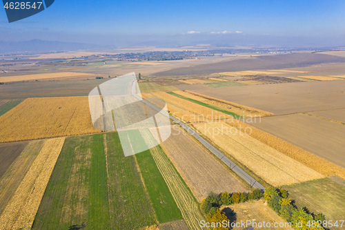 Image of Aerial view of autumn fields