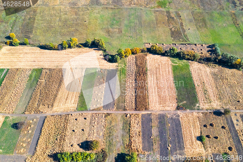 Image of Fields in autumn, drone view