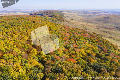 Image of Flying drone above autumn forest