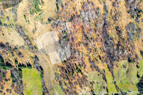 Image of Colours of autumn pasture, above view