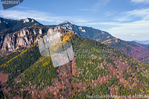 Image of Beautiful colored forest on a rocky mountain