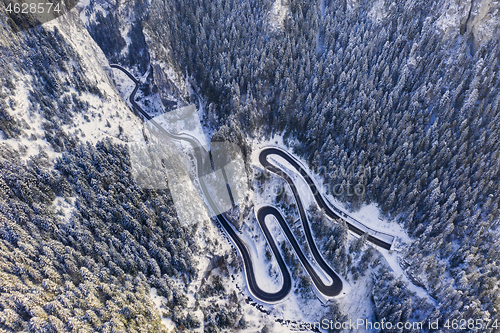 Image of Curvy road in winter forest