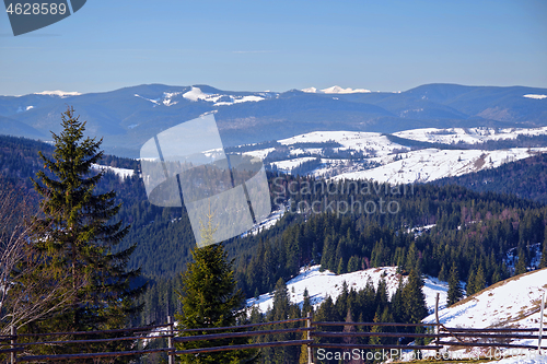 Image of Rural winter landscape, hills and evergreen forest