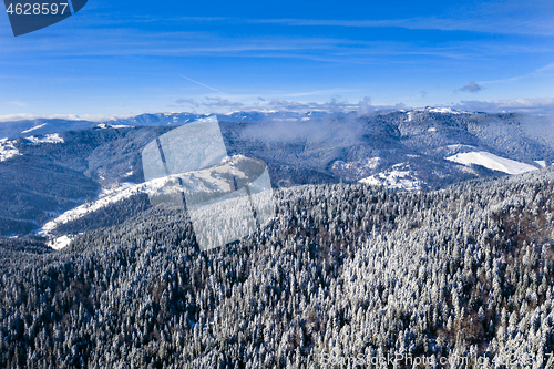 Image of Aerial scene with frozen trees in sunny winter day