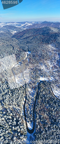 Image of Winding forest road in sunny winter day